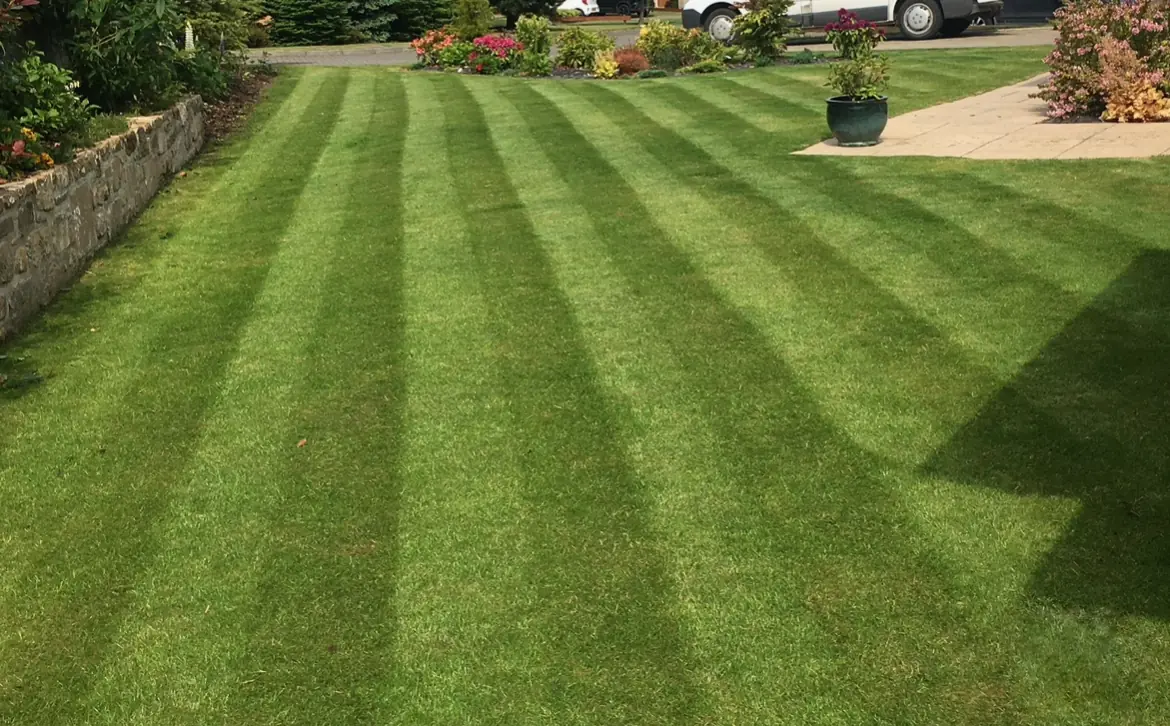 Lawn mowing service