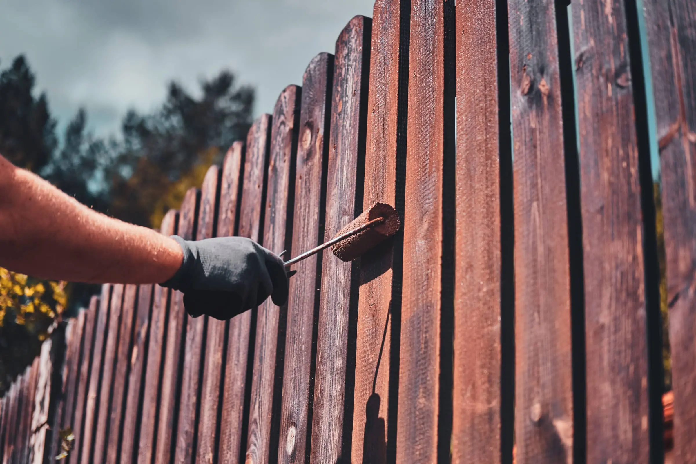 Fence, decking, shed painting service