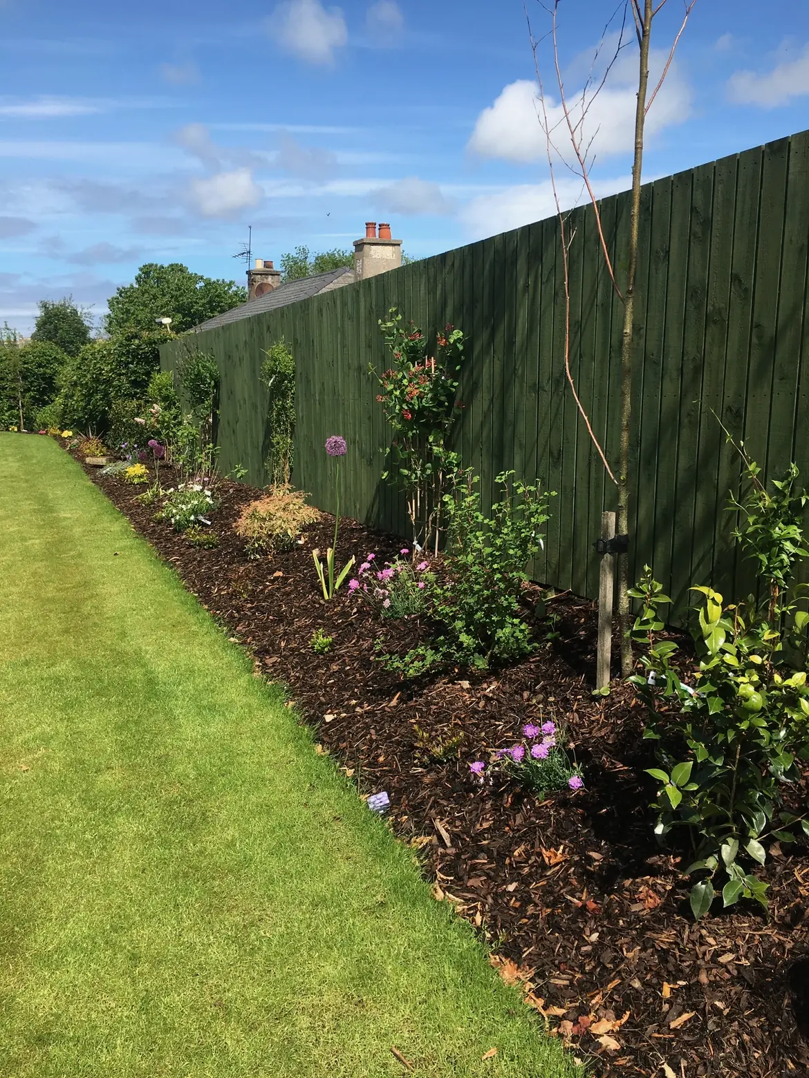 Garden Maintenance service